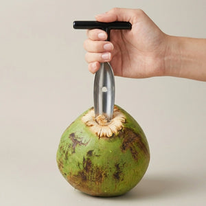 Stainless Steel Coconut Opener Tool | Coconut Water Opener & Driller | Heavy Duty Coconut Hole Punch for Tender & Green Coconuts