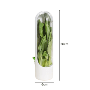 Fresh Herb Keeper & Vegetable Storage Container | Prolongs Freshness Up to 3x