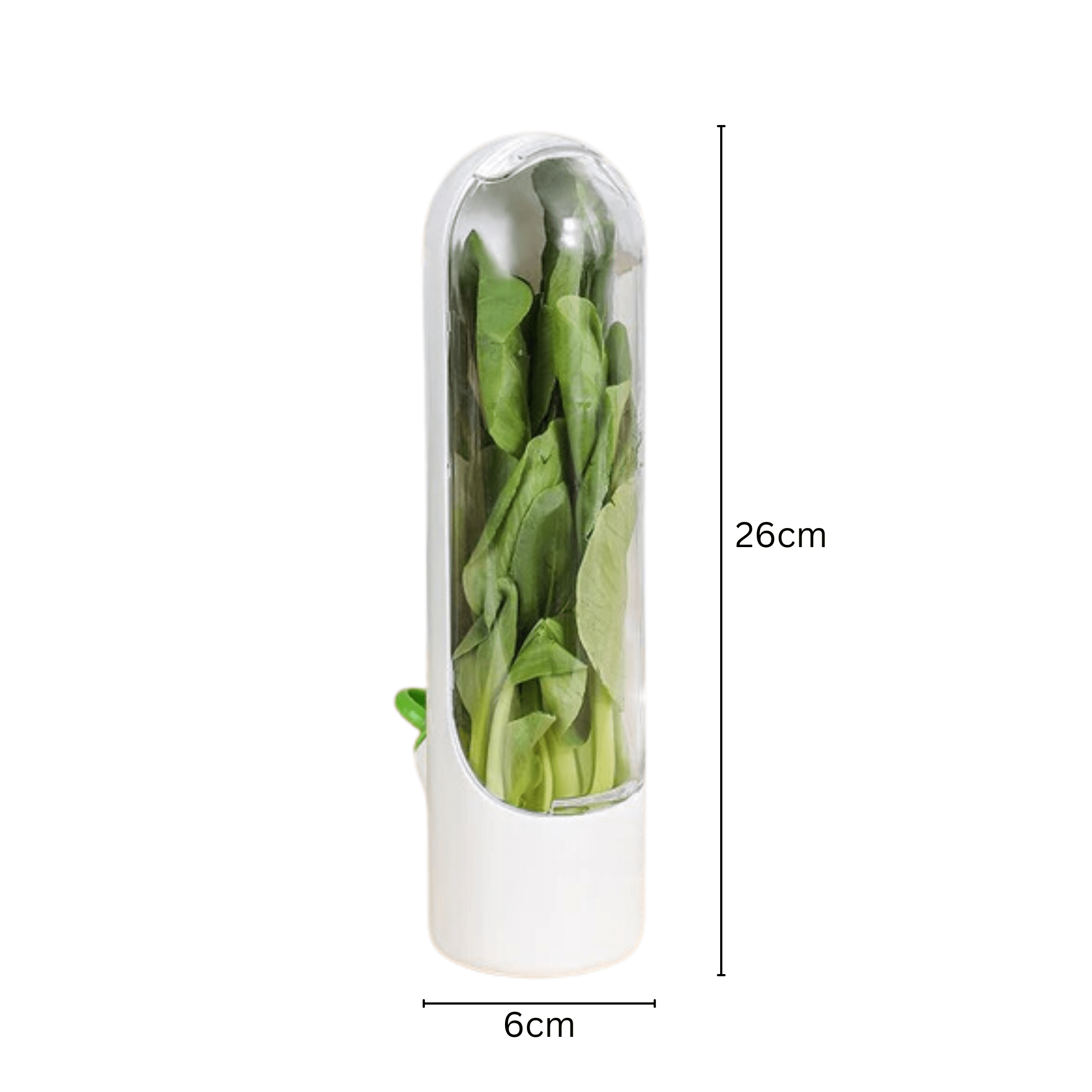 Fresh Herb Keeper & Vegetable Storage Container | Prolongs Freshness Up to 3x