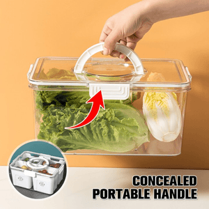 Airtight Storage Containers with 4 Compartments | Fresh, Mess-Free Food Organizer