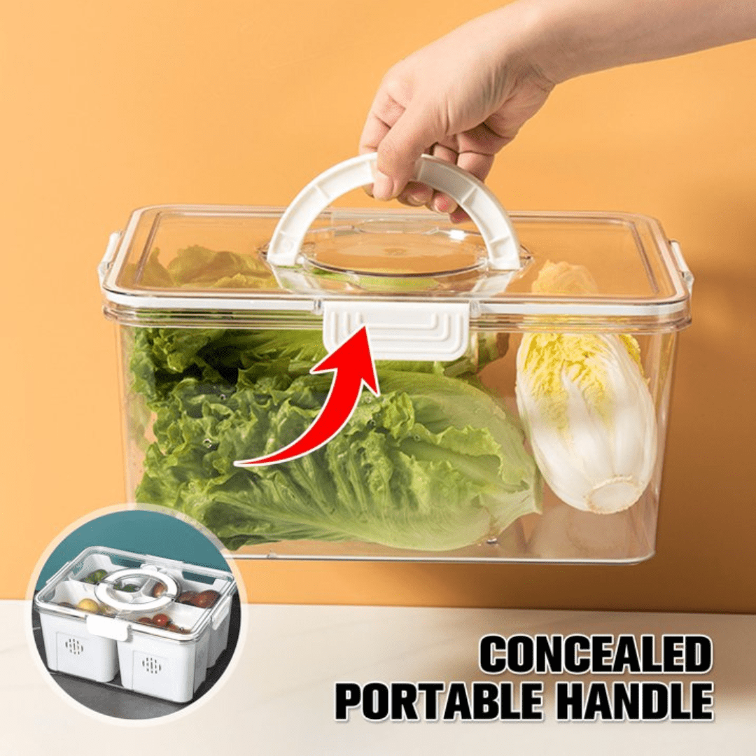 Airtight Storage Containers with 4 Compartments | Fresh, Mess-Free Food Organizer