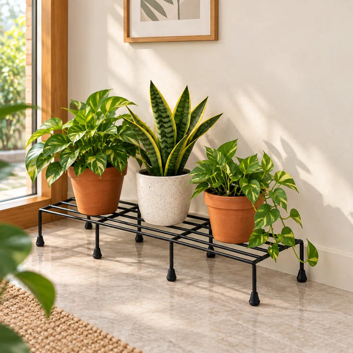 Rectangular Metal Plant Stand | Pot Holder & Plant Display Rack