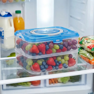 24 Grid Egg Storage Container for Fridge | 2-Layer Plastic Egg Organizer Tray with Handle | Refrigerator Egg Holder & Kitchen Storage Box