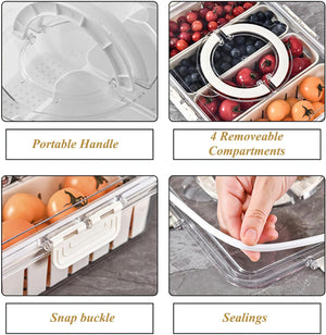 Multi Compartments Food Storage Box (4 Compartment) | Airtight Snack Storage Container