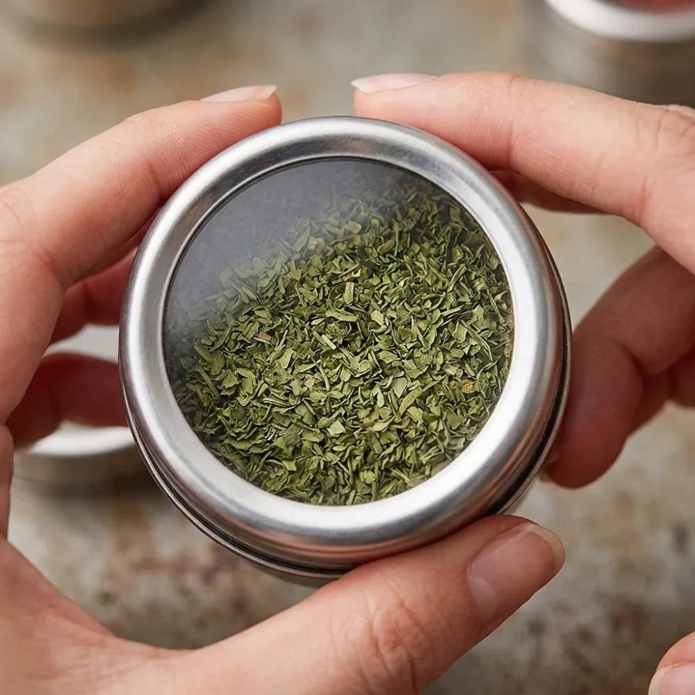 9PCS Stainless Steel Magnetic Spice Jar Set with Rack | Masala Storage Containers for Salt, Pepper & Seasonings