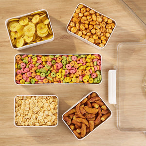 Multi-Compartment Dry Fruit Box | Organize & Store Premium Nuts, Seeds & Dried Fruits