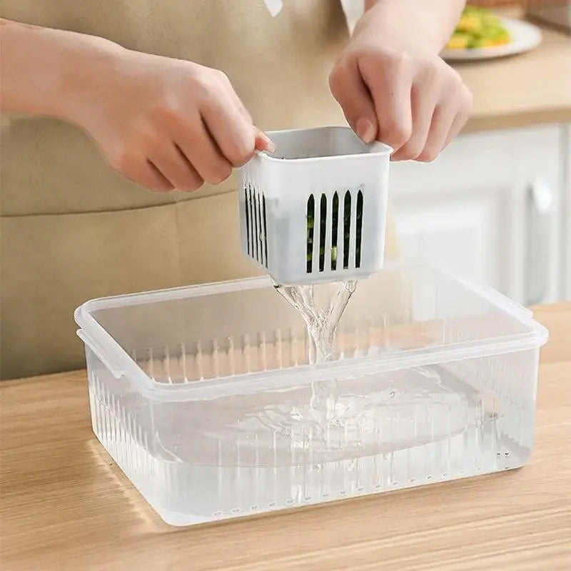 6 Grid Fridge Food Storage Organizer | Preserving Freshness of Cut Veggies and Fruits