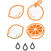 Multipurpose Citrus Juicer