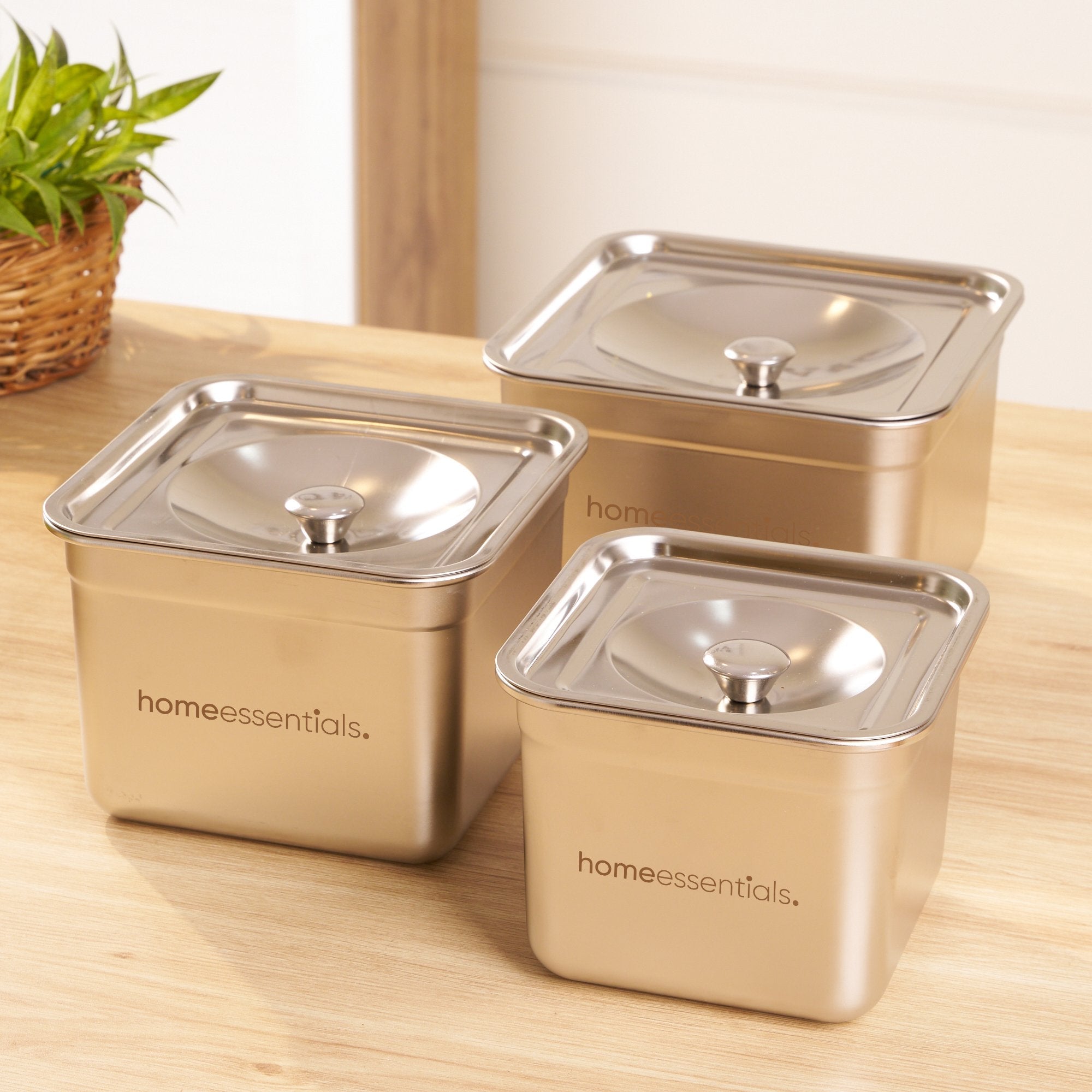 Secure Vault Container | Airtight Food Storage with Heavy-Duty Locking System