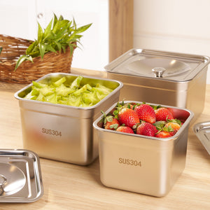Secure Vault Container | Airtight Food Storage with Heavy-Duty Locking System