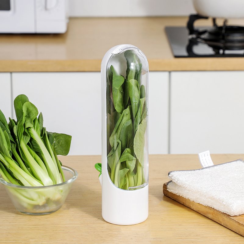 Fresh Herb Keeper & Vegetable Storage Container | Prolongs Freshness Up to 3x