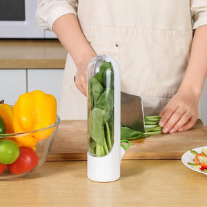 Fresh Herb Keeper & Vegetable Storage Container | Prolongs Freshness Up to 3x