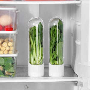 Fresh Herb Keeper & Vegetable Storage Container | Prolongs Freshness Up to 3x