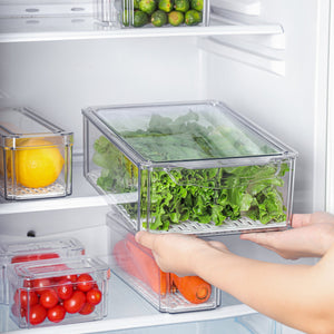 Fresh Keeper Refrigerator Storage Box for Fruits & Vegetables