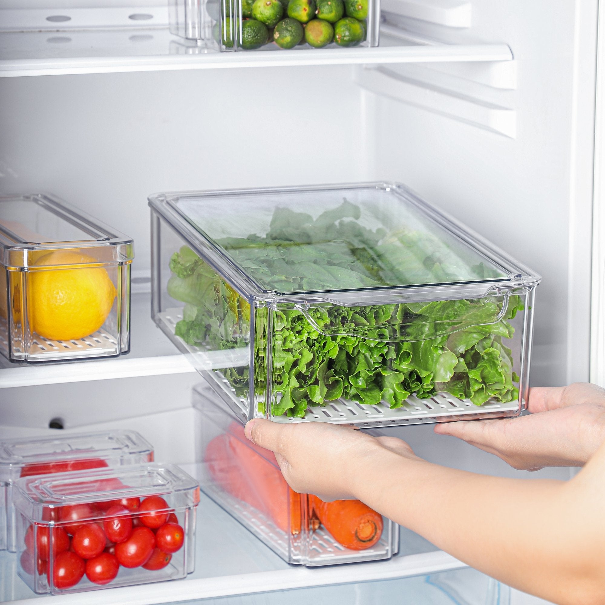 Fresh Keeper Refrigerator Storage Box for Fruits & Vegetables