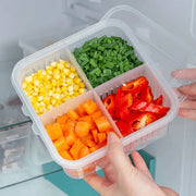 4 Grid Fridge Organizer Box | Polypropylene Vegetable Storage Container for Garlic, Ginger, Coriander Leaves, Green Chili Diced...